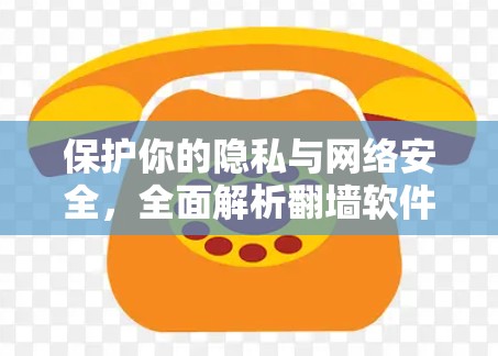 保护你的隐私与网络安全，全面解析翻墙软件
