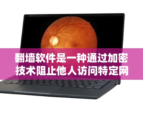 翻墙软件是一种通过加密技术阻止他人访问特定网站的工具，主要针对网页内容。以下是对该技术的详细分析