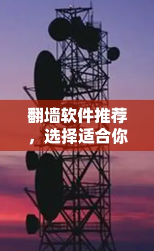 翻墙软件推荐，选择适合你的选择
