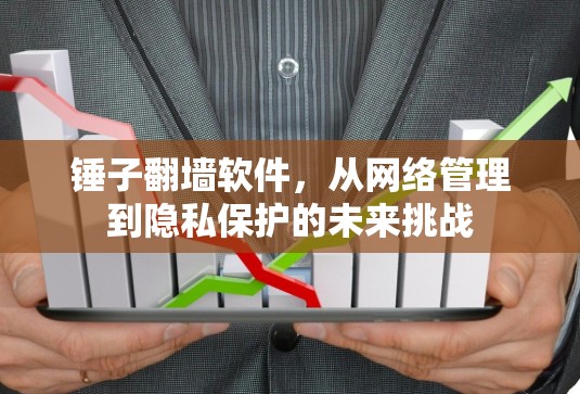 锤子翻墙软件，从网络管理到隐私保护的未来挑战