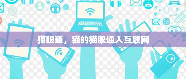 猫眼通，猫的猫眼通入互联网