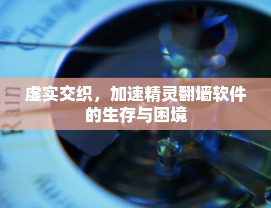 虚实交织，加速精灵翻墙软件的生存与困境
