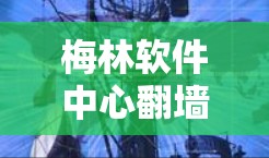 梅林软件中心翻墙技术与解决方案，从加密到访问控制的全面覆盖