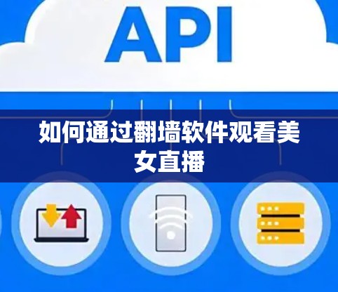 如何通过翻墙软件观看美女直播