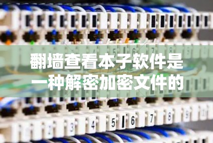 翻墙查看本子软件是一种解密加密文件的技术，通常用于解密加密好的书籍、文档等文件。这类软件可以解密文件，将加密后的文件转换为 readable format。以下是对这个过程的详细说明