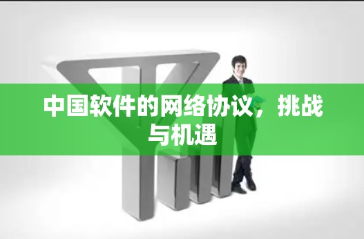 中国软件的网络协议，挑战与机遇