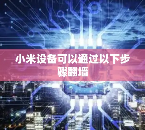 小米设备可以通过以下步骤翻墙