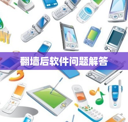 翻墙后软件问题解答
