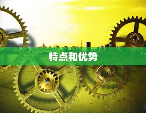 特点和优势