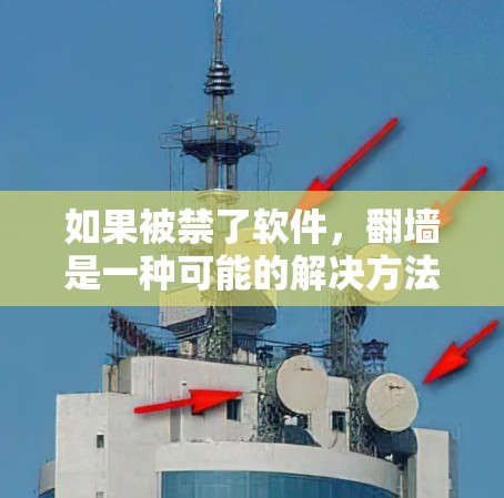 如果被禁了软件，翻墙是一种可能的解决方法。以下是一步步的解决方案