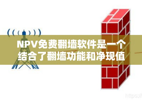NPV免费翻墙软件是一个结合了翻墙功能和净现值（NPV）计算的工具，帮助用户快速完成翻墙并评估项目的收益和成本。以下是对这类软件的详细介绍