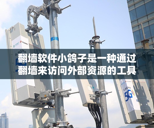 翻墙软件小鸽子是一种通过翻墙来访问外部资源的工具，通常用于下载视频、图片等。以下是一些需要注意的事项