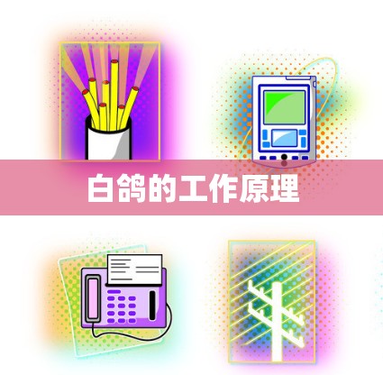 白鸽的工作原理 白鸽的工作原理