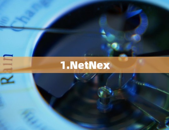 1.NetNex 1.NetNex