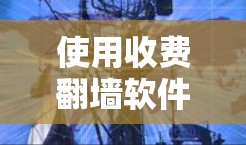 使用收费翻墙软件解决网络问题，是一个既有功能又安全的选择，适合有一定技术基础的用户。以下是一个详细的步骤指南，帮助您使用收费翻墙软件