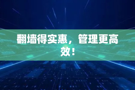 翻墙得实惠，管理更高效！