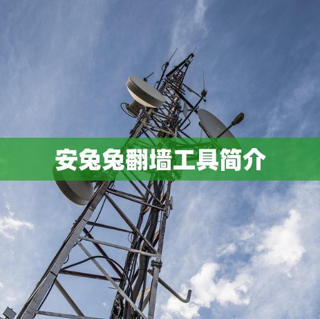 安兔兔翻墙工具简介