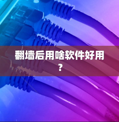 翻墙后用啥软件好用？