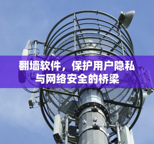 翻墙软件，保护用户隐私与网络安全的桥梁