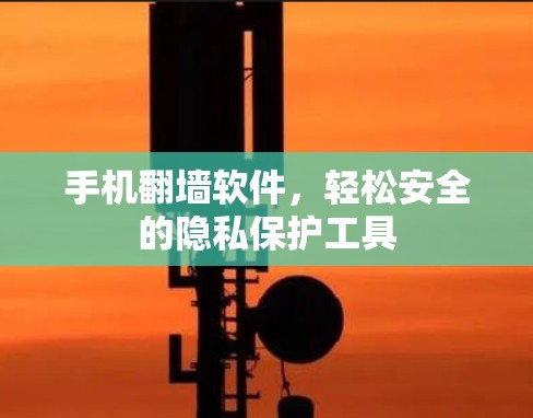 手机翻墙软件，轻松安全的隐私保护工具
