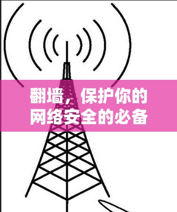 翻墙，保护你的网络安全的必备神器