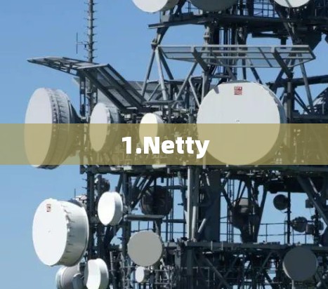 1.Netty