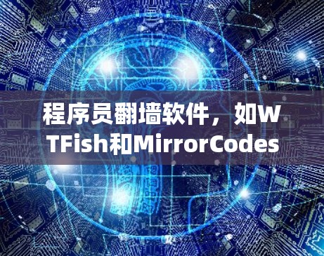 程序员翻墙软件，如WTFish和MirrorCodes，是用于解决IP地址被封禁的问题的工具。这些软件通过特定的翻墙代码访问外部网站，帮助程序员或普通用户绕过IP地址限制。以下是对这类软件的详细分析