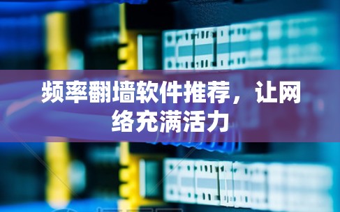 频率翻墙软件推荐，让网络充满活力