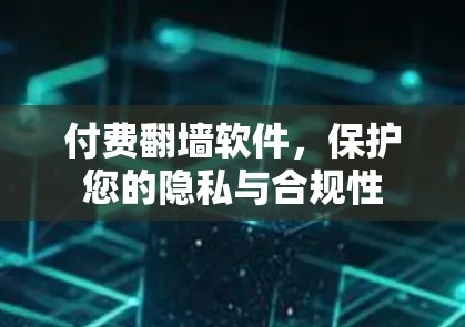 付费翻墙软件,保护您的隐私与合规性 付费翻墙软件,保护您的隐私与合规性