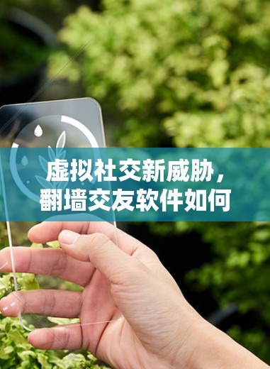虚拟社交新威胁,翻墙交友软件如何改变我们的际遇 虚拟社交新威胁,翻墙交友软件如何改变我们的际遇