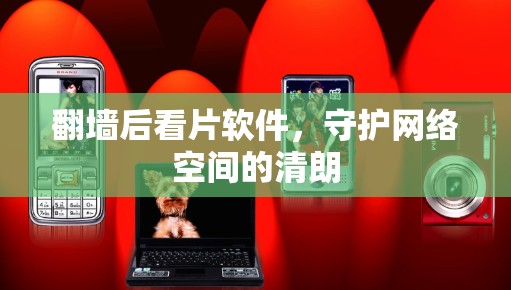 翻墙后看片软件，守护网络空间的清朗