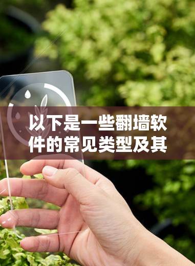 以下是一些翻墙软件的常见类型及其特点