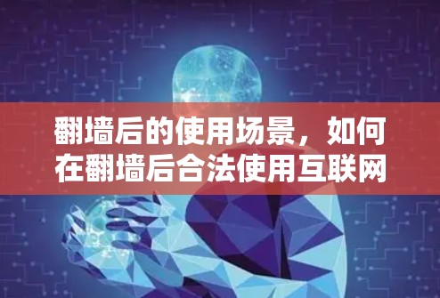 翻墙后的使用场景，如何在翻墙后合法使用互联网