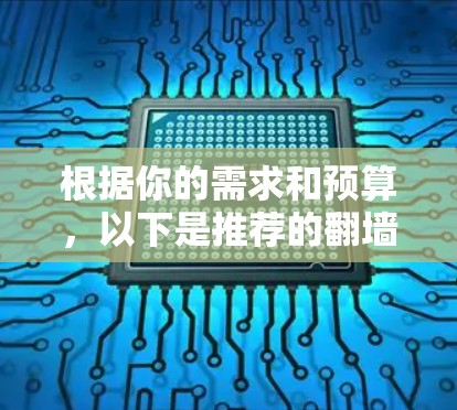 根据你的需求和预算，以下是推荐的翻墙软件