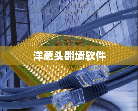 洋葱头翻墙软件