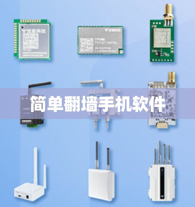 简单翻墙手机软件