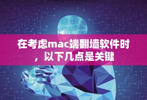 在考虑mac端翻墙软件时，以下几点是关键