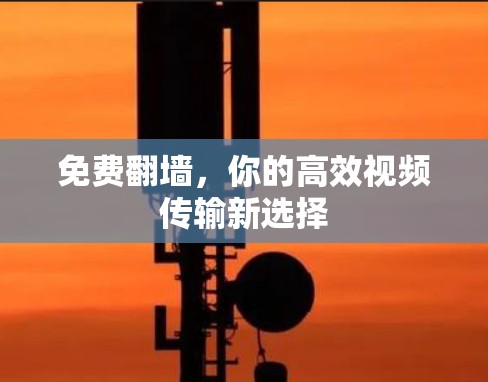 免费翻墙，你的高效视频传输新选择