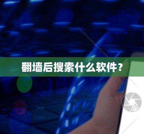 翻墙后搜索什么软件？