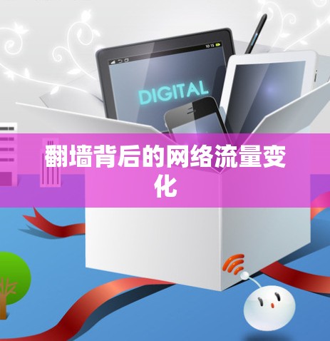 翻墙背后的网络流量变化