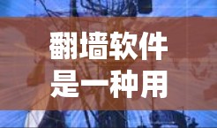 翻墙软件是一种用于绕过防火墙或网络防火墙功能的工具，允许用户访问未经授权的网络资源。虽然这类软件在一定程度上增加了访问网络资源的便利性，但也可能带来一些潜在的负面影响。以下是一些可能的负面影响