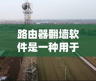 路由器翻墙软件是一种用于绕过 Tor 网络防火墙，连接到外部网络设备的网络扩展工具。以下是关于该主题的详细总结