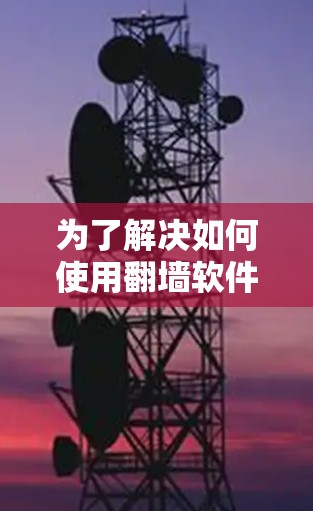 为了解决如何使用翻墙软件的问题，以下是一个详细的步骤指南