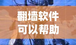 翻墙软件可以帮助您绕过网络的限制，访问外部网站或资源。以下是一些适合手机用户的推荐翻墙软件