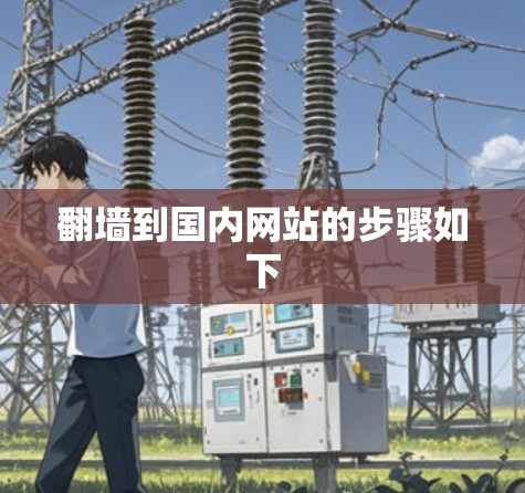 翻墙到国内网站的步骤如下