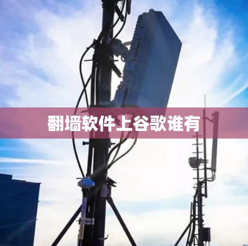 翻墙软件上谷歌谁有