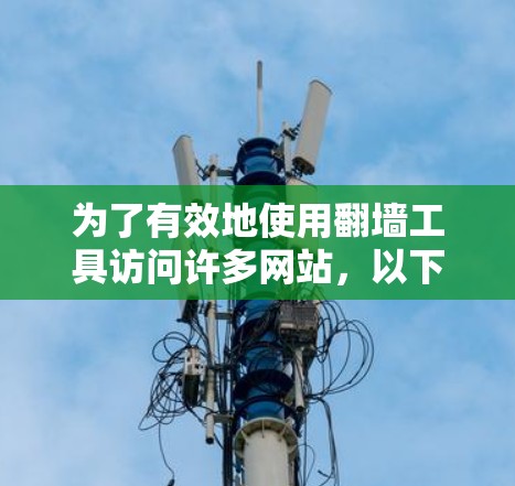 为了有效地使用翻墙工具访问许多网站，以下是一个分步的指南