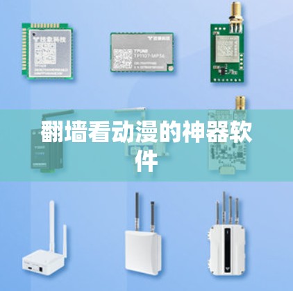 翻墙看动漫的神器软件