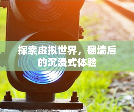 探索虚拟世界，翻墙后的沉浸式体验