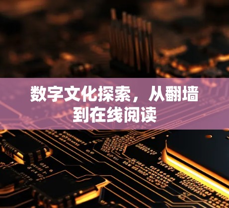 数字文化探索，从翻墙到在线阅读
